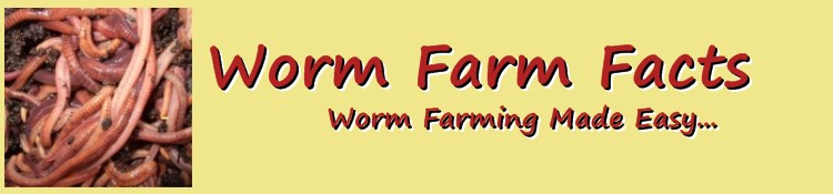 Worm Farm Facts - African Night Crawler